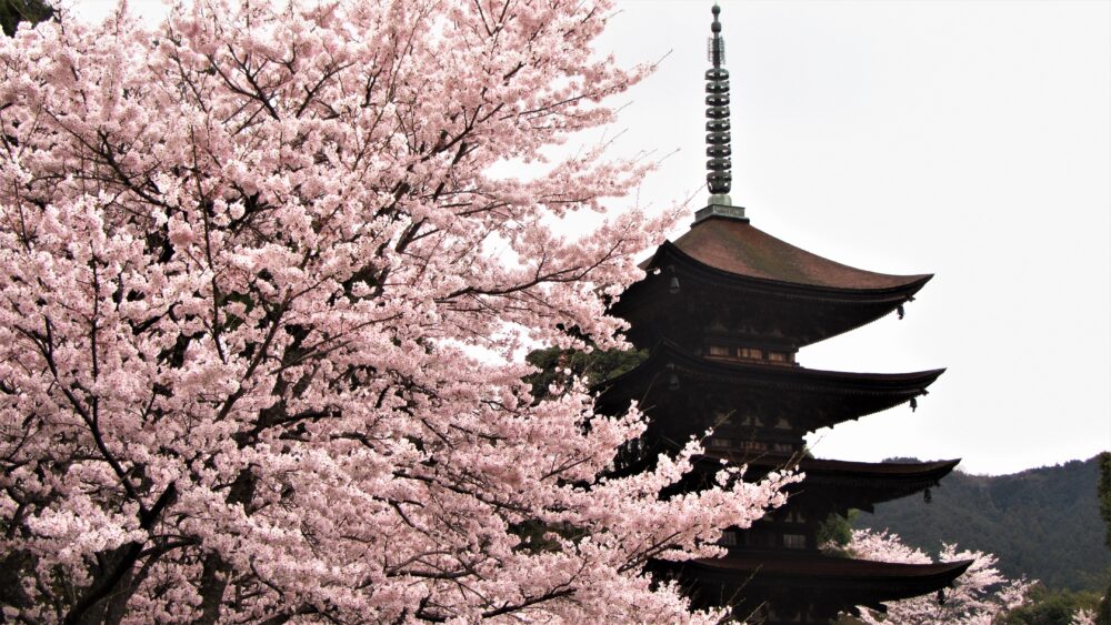 瑠璃光寺